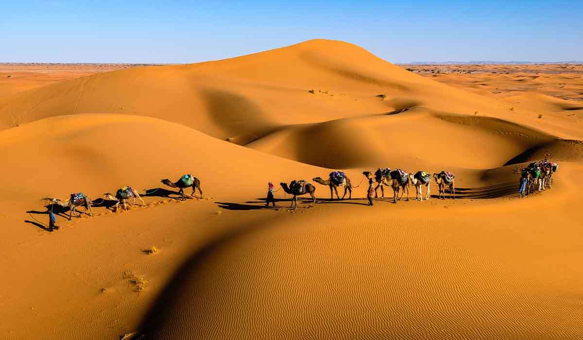 Dubai Desert