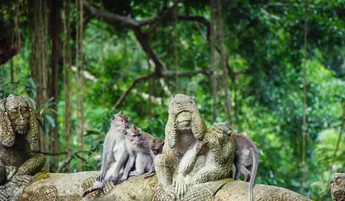 Ubud's Sacred Monkey Forest: A fun interaction with Bali's cheeky residents.