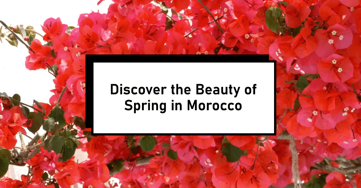 Best Time to Visit Morocco 2024