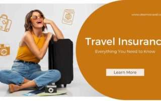 Ultimate Travel Insurance Guide - Desmo Travel