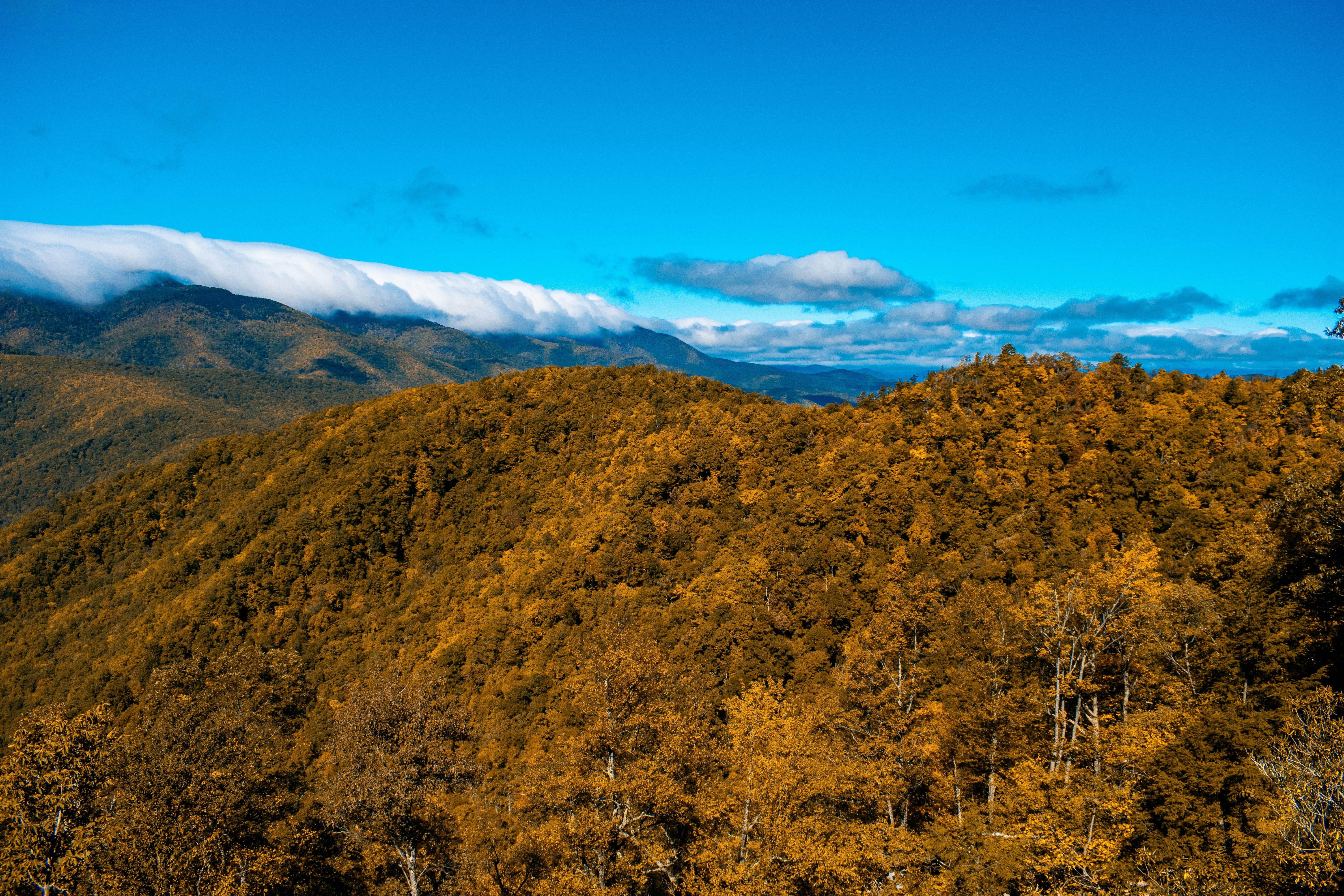 Asheville North Carolina