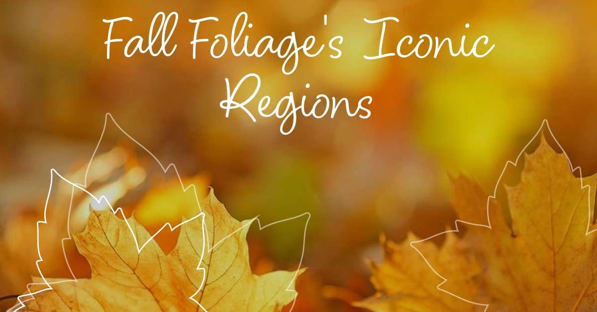 Iconic Regions for Fall Foliage