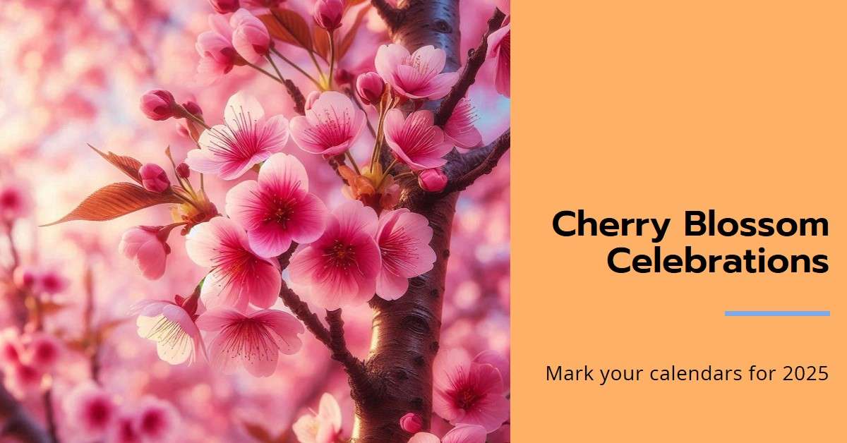 Cherry Blossom Festivals and Events in 2025