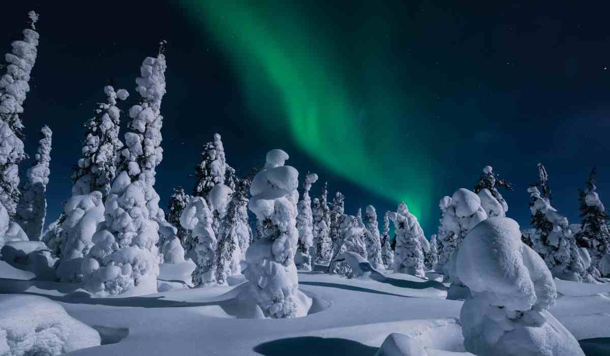 Explore Lapland A Winter Adventure Beyond the Northern Lights 2