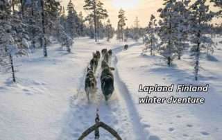 Explore Lapland A Winter Adventure Beyond the Northern Lights 3