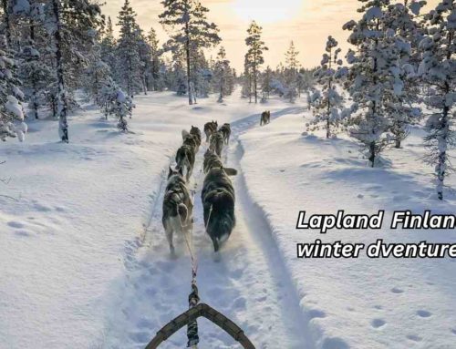 Lapland, Finland: More Than a Northern Lights Destination