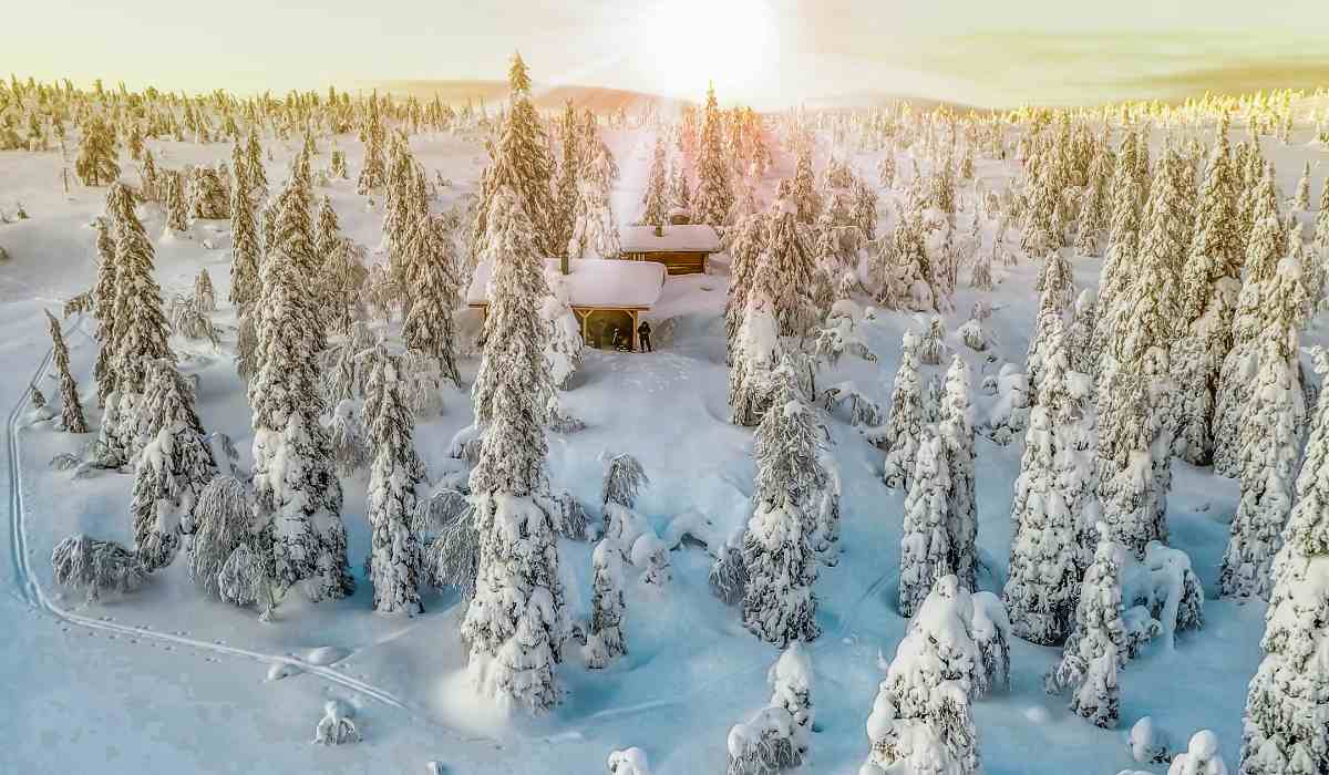 Explore Lapland A Winter Adventure Beyond the Northern Lights 5