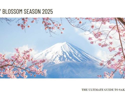 Cherry Blossom Season in Japan: A Guide to Sakura Viewing 2025