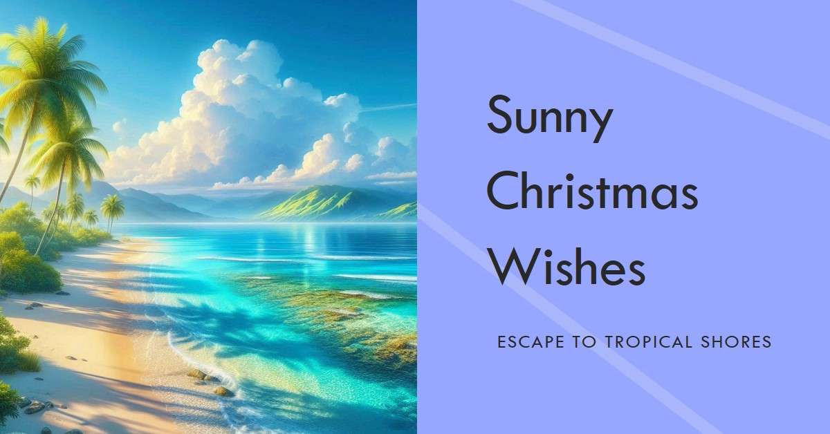 Tropical Beaches for a Warm Christmas